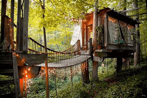 The Joy of Elevated Living: Experiencing the Magic of Treehouse Life